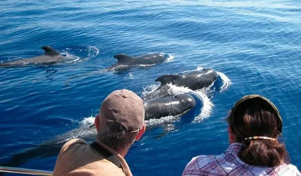 Ocean House & Perfect For You Costa Adeje  Costa Adeje (Tenerife)