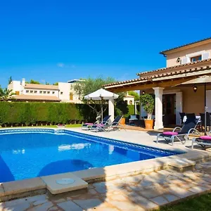 https://gatoses.balearic-islands.net